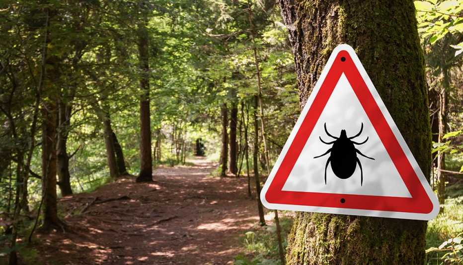 Letrero que advierte sobre la presencia de garrapatas colgando de un árbol en el bosque