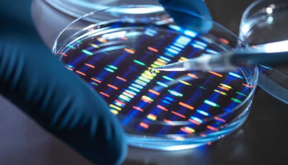 Científico realiza una prueba de ADN