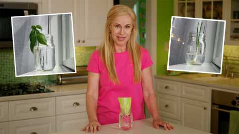Elisabeth Leamy habla sobre cómo regenerar alimentos