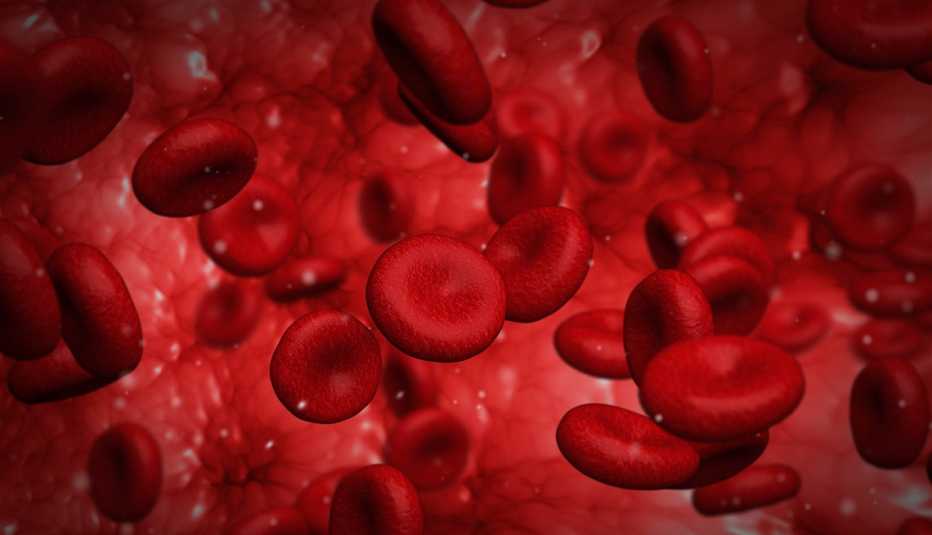 Glóbulos rojos Glóbulos rojos