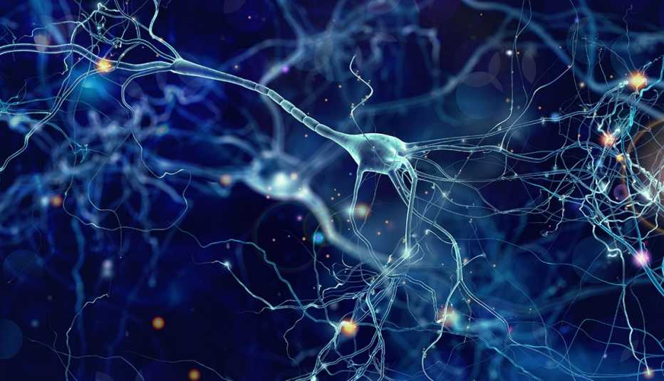 Neuronas