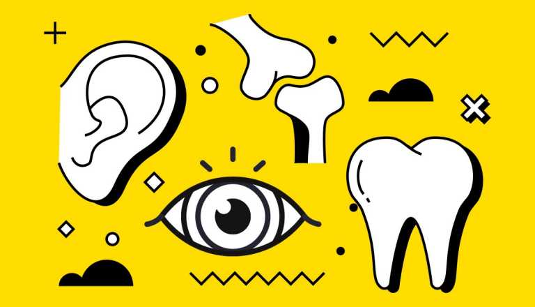Ilustración de varias partes del cuerpo, incluyendo: una oreja, un ojo, huesos y una muela