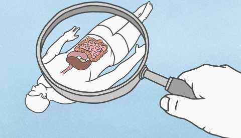 Ilustración de una mano con una lupa observando un cuerpo humano donde se destacan los órganos internos Ilustración de una mano con una lupa observando un cuerpo humano donde se destacan los órganos internos