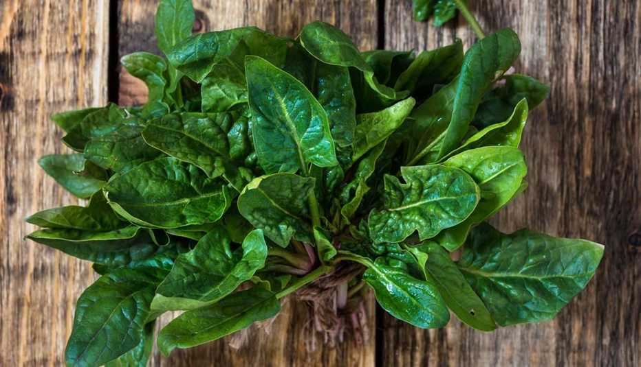 Alimentos ricos en magnesio - Espinacas