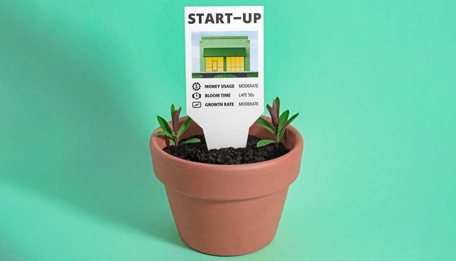 Matera con dos plantas y un letrero que dice empezar un negocio