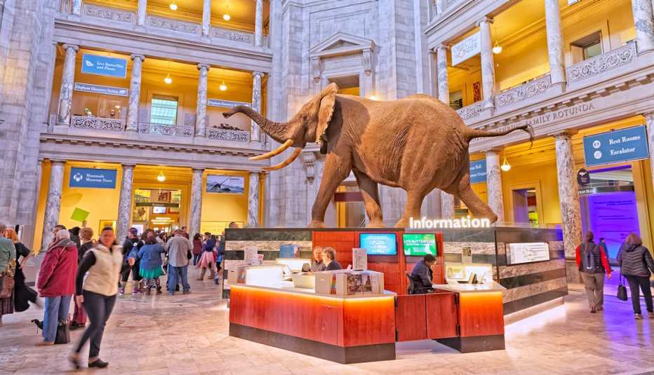 Museo de Historia Natural Smithsonian