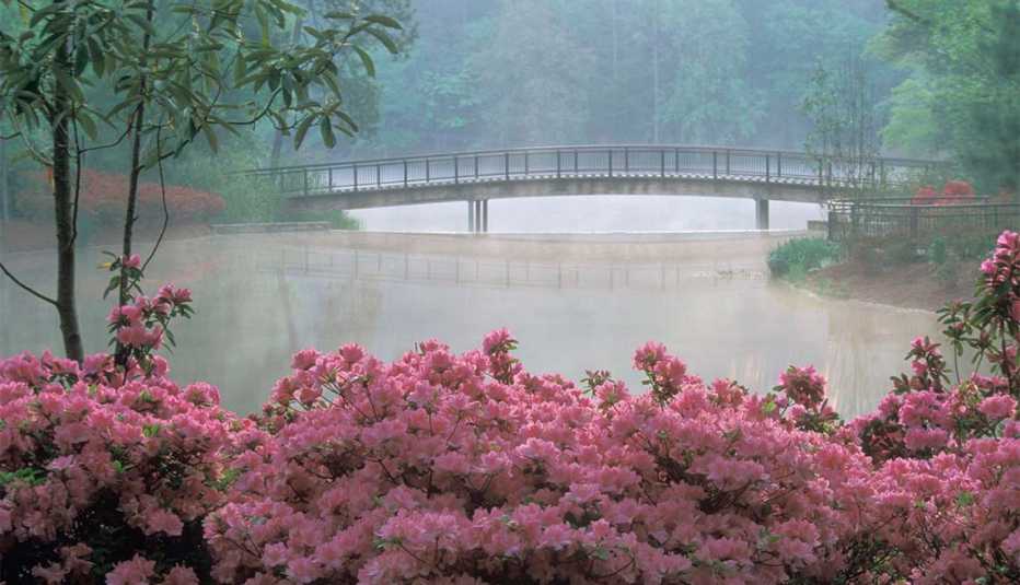 Excelentes escapes para madre e hija - Jardines Callaway en Atlanta, Georgia
