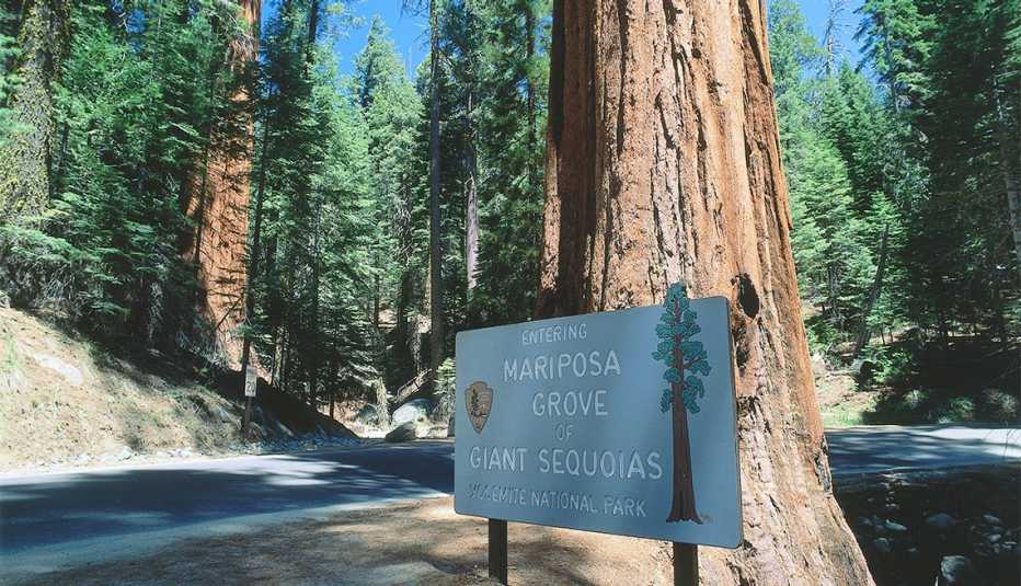 Letrero de Mariposa Grove en el Parque Nacional Yosemite Letrero de Mariposa Grove en el Parque Nacional Yosemite