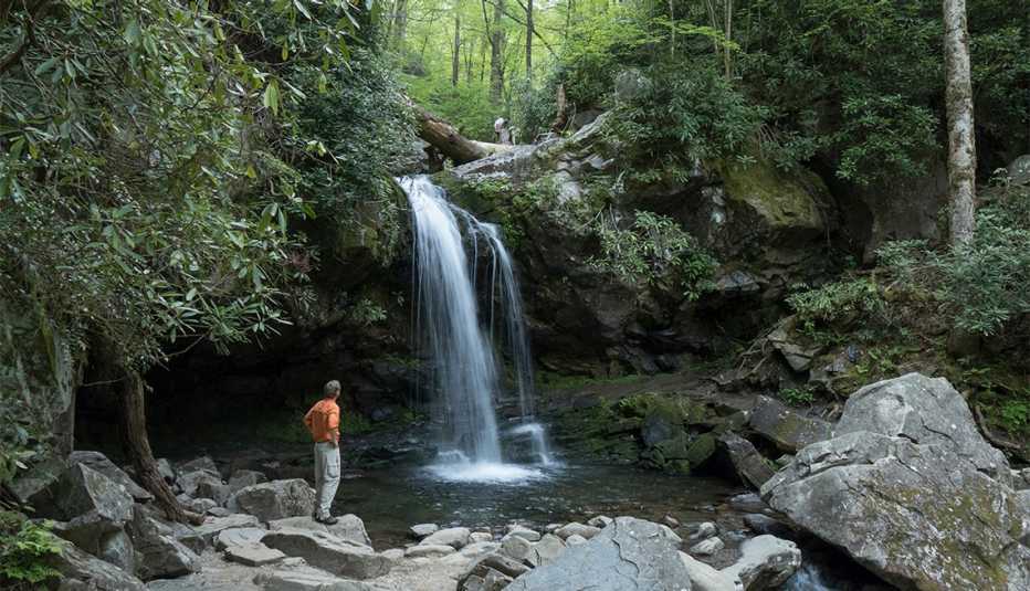 Persona observa una casacada en el Parque Nacional de las Montañas Humeantes