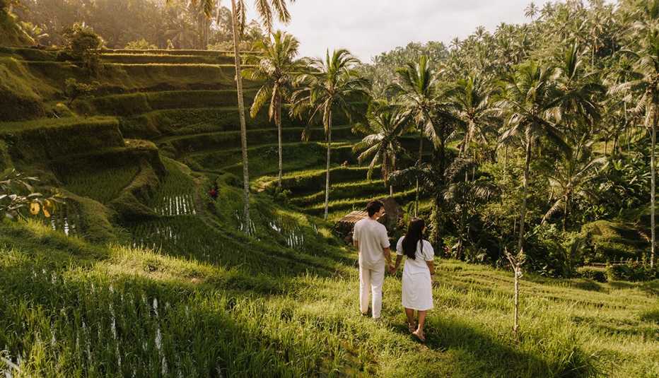 una pareja observando un campo abierto en Bali una pareja observando un campo abierto en Bali