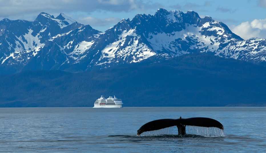 Ballena jorobada que avanza en el canal Lynn con un crucero en la distancia Ballena jorobada que avanza en el canal Lynn con un crucero en la distancia