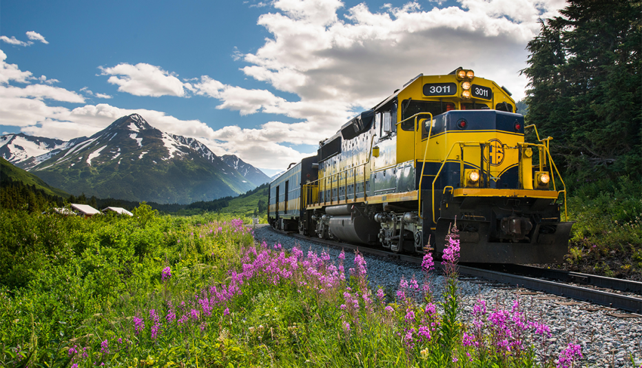 Tren Glacier Discovery