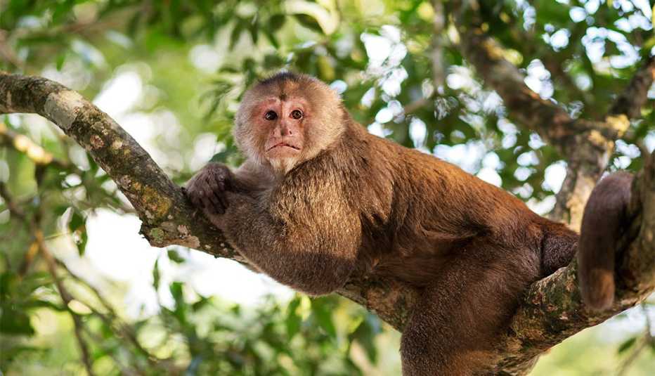 Tena, Ecuador