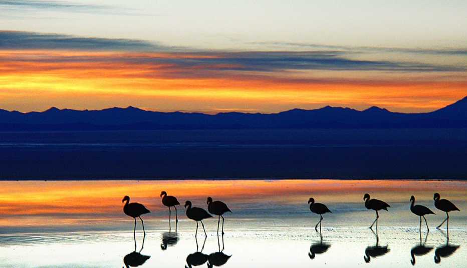 sunset, uyuni, salt, desert, Bolivia