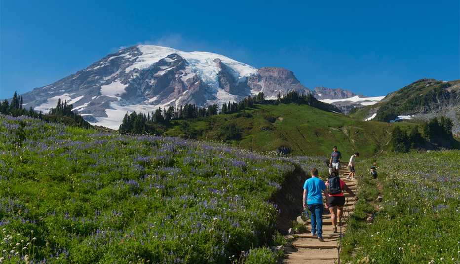 Excursionistas en Skyline Trail Excursionistas en Skyline Trail