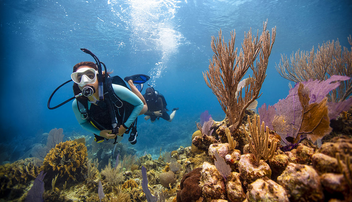 buceadores en los corales de Roatán, Honduras