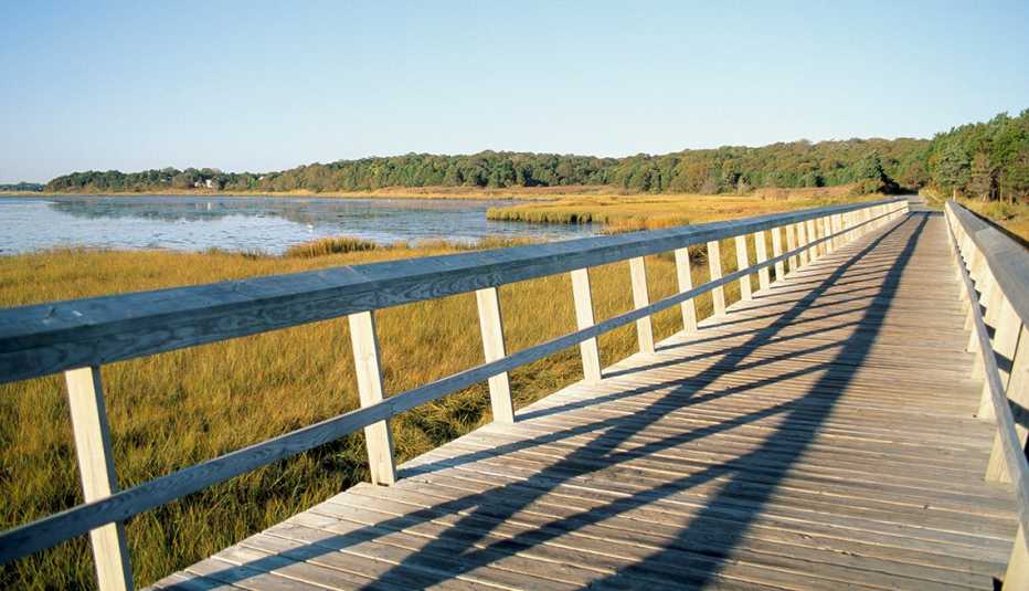 Paseo marítimo sobre marismas en Cape Cod
