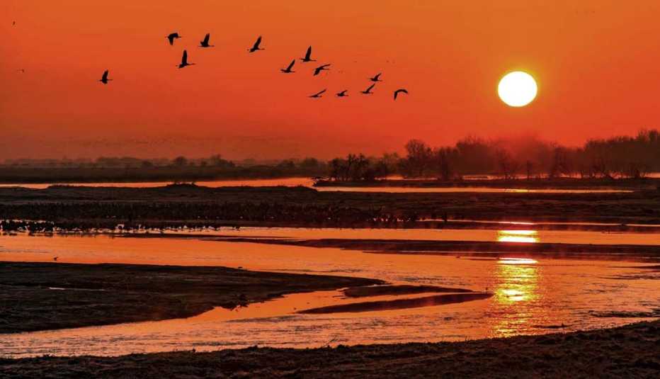 Affordable Spring Trips Grand Island