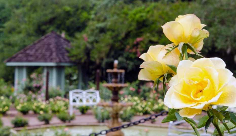 Affordable Spring Trips Orlando