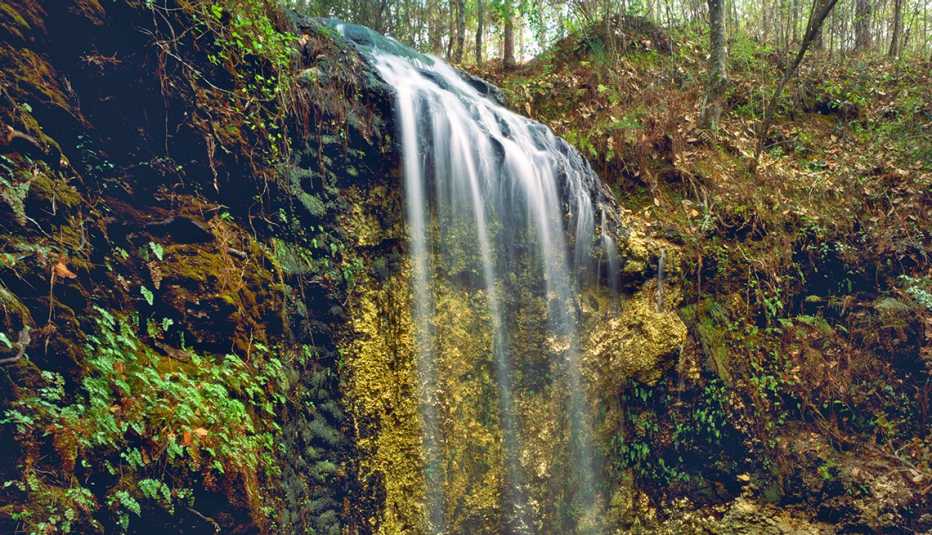Caída de agua en Spring Falling Waters State Park