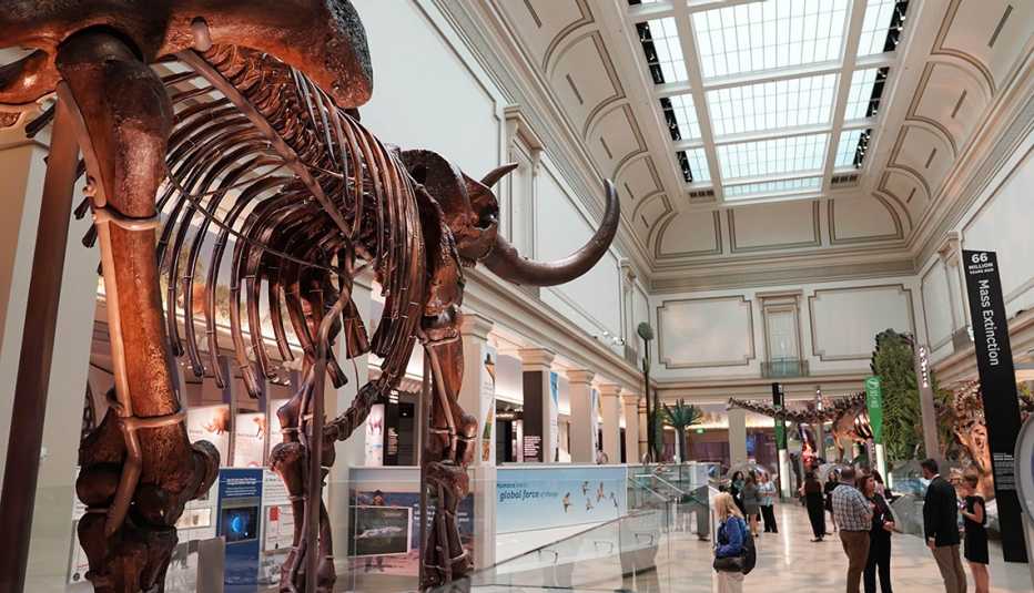 Gente visita la nueva sala de dinosaurios y fósiles del Museo Nacional de Historia Natural del Smithsonian en Washington, D.C. Gente visita la nueva sala de dinosaurios y fósiles del Museo Nacional de Historia Natural del Smithsonian en Washington, D.C.