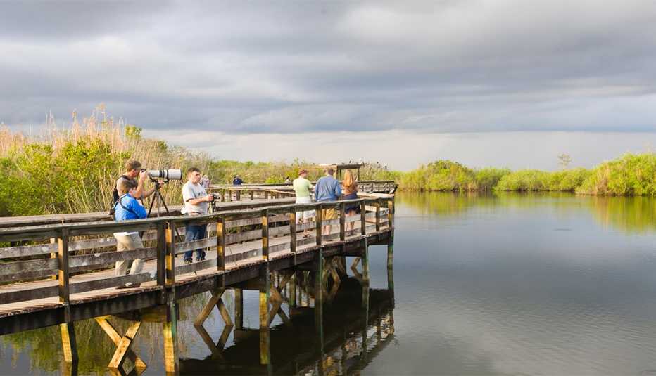 Turistas a lo largo del sendero Anhinga