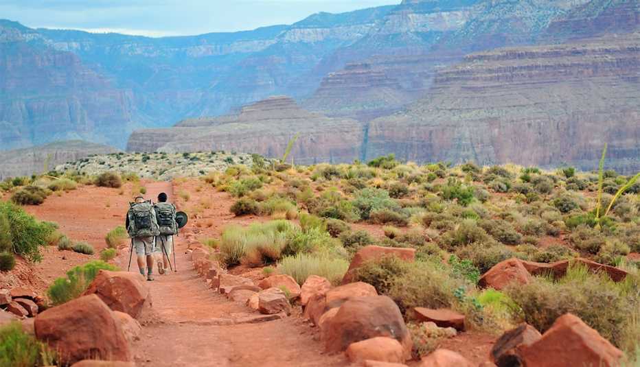 Dos hombres caminando en el Parque Nacional del Gran Cañón.