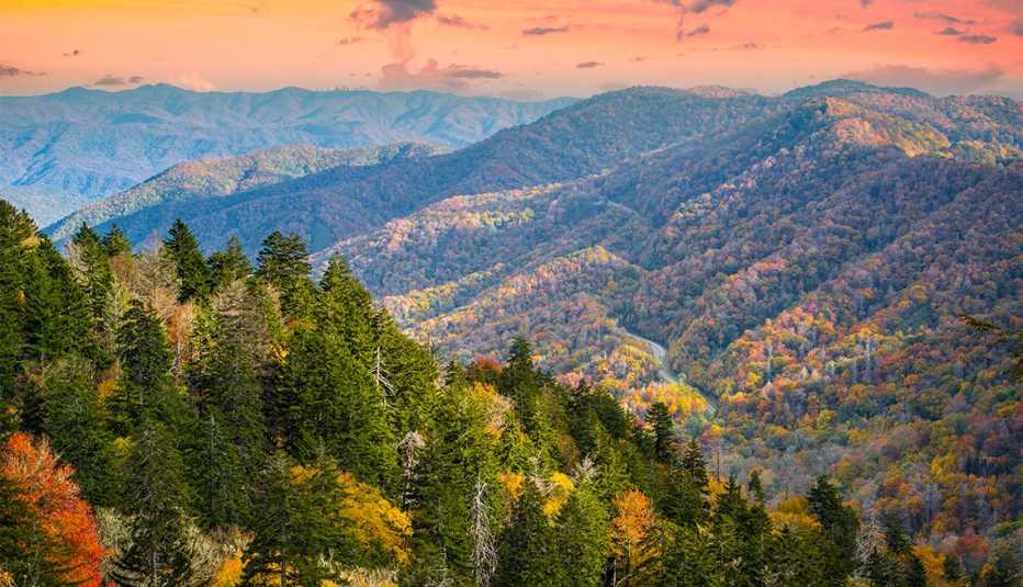 Montañas y árboles en una mañana de otoño 