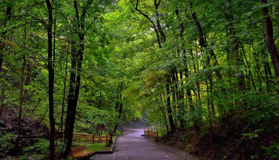 Camino en las afueras del centro de visitantes en el Parque Nacional Mammoth Cave