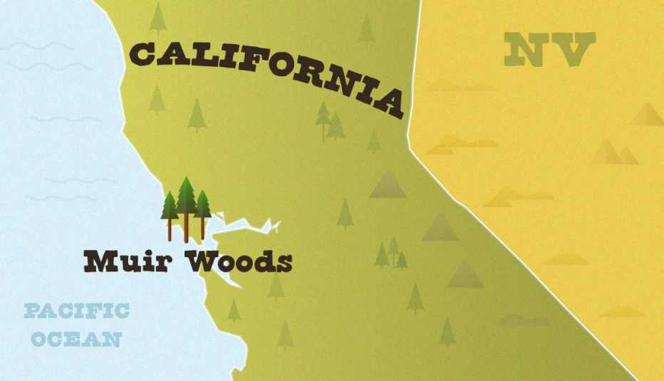Mapa muestra la ubicación del Monumento Nacional Muir Woods Mapa muestra la ubicación del Monumento Nacional Muir Woods