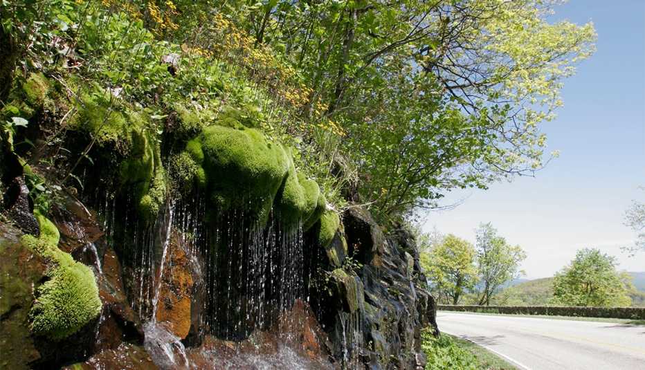 Agua de manantial que cae en Skyline Drive Agua de manantial que cae en Skyline Drive