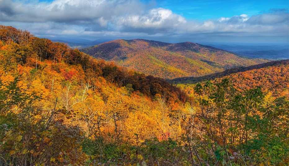 Follaje de otoño en el Parque Nacional Shenandoah Follaje de otoño en el Parque Nacional Shenandoah