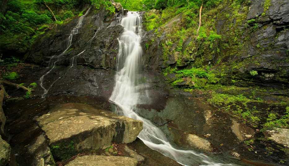 Caída de agua Jones Run Waterfall
