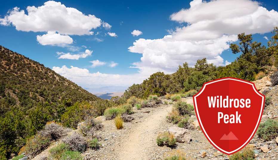 Sendero de montaña que va hacia arriba 