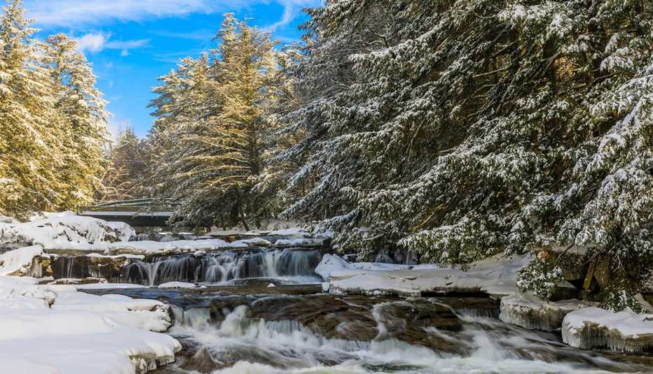Rio corre en medio de los árboles con nieve