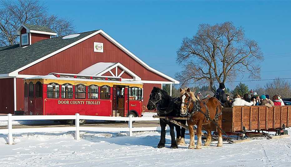 Excursión en trineo halado por caballos