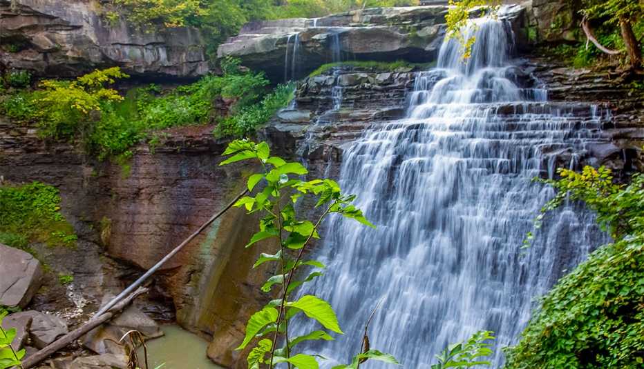Brandywine Falls