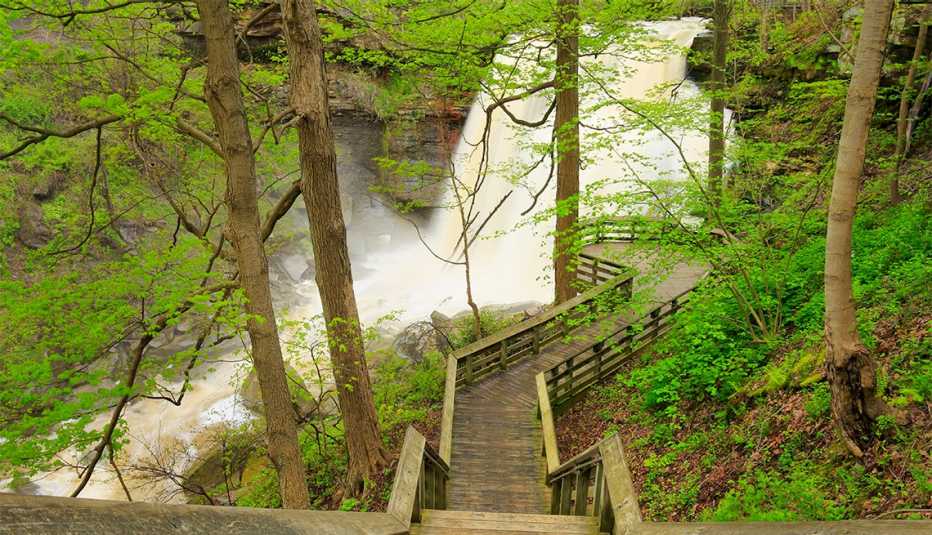 Brandywine Falls