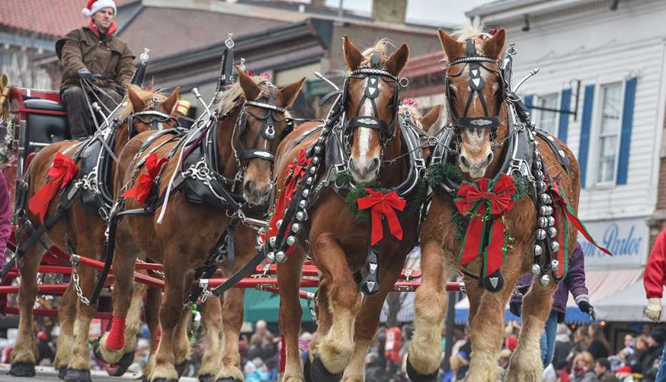 Caballos adornados para la parada y festival de carruajes Caballos adornados para la parada y festival de carruajes