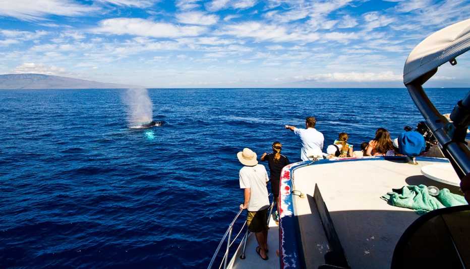 boat full of tourists observing a whale in the distance boat full of tourists observing a whale in the distance
