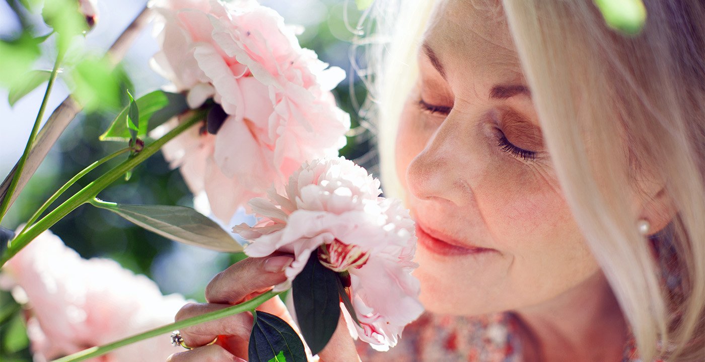 Family Vacation Ideas and Travel Tips for 50Plus Travelers AARP