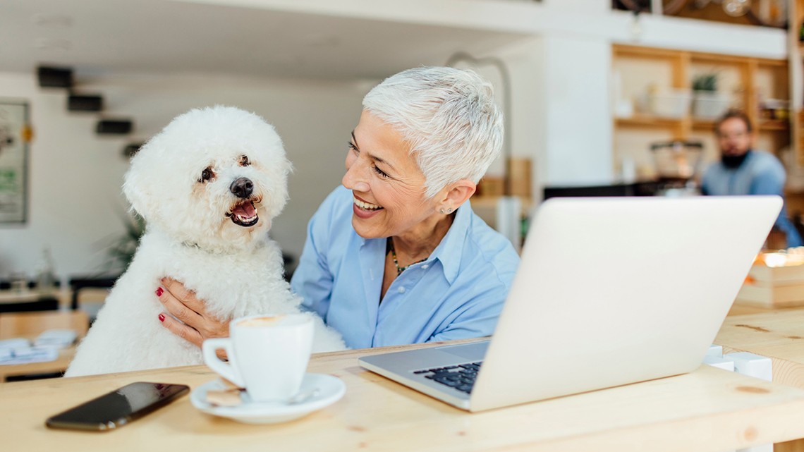 Beautiful smiling mature woman sitting in cafe with her dog. Drinking coffee and using laptop. Making break to play with her pet, Bichon.