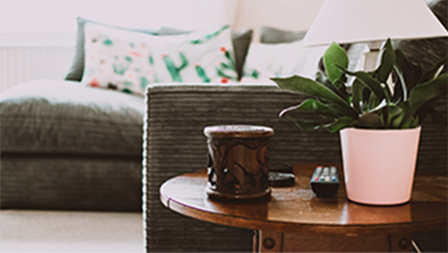 A lamp and plant and couch with pillows