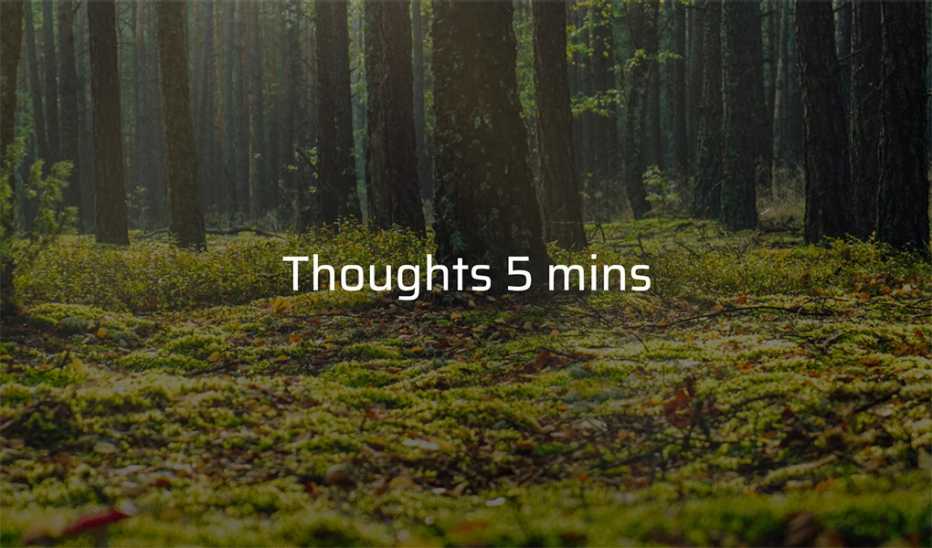 A forest with tall trees with the text "Thoughts 5 mins"