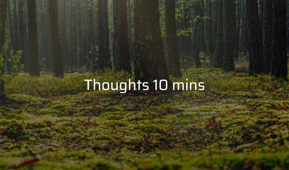 A forest with tall trees