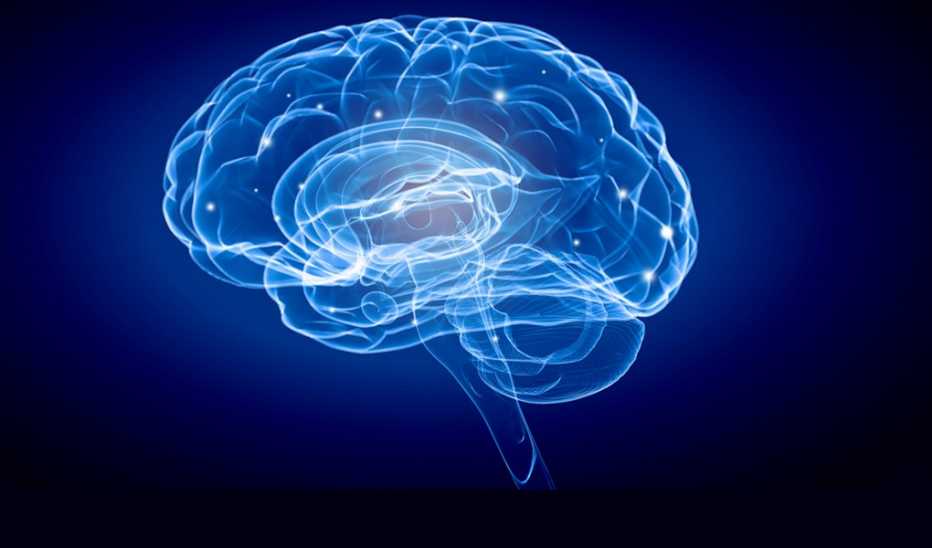 A science image with a human brain on a blue background