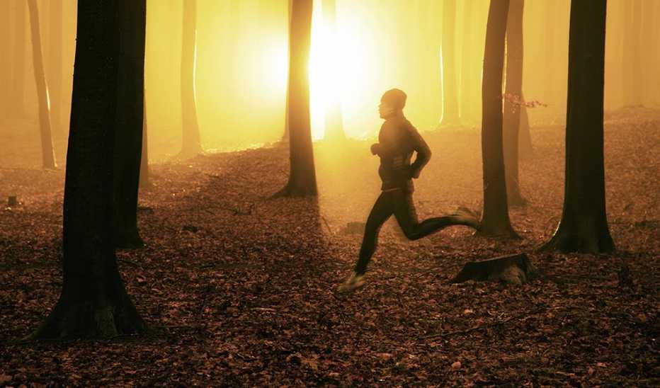 A jogger in a forest at sunrise