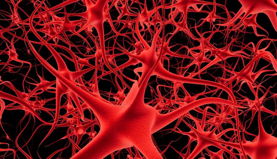An illustration of connected neurons and nerves in a brain