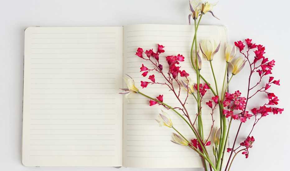 An overhead view of flowers resting on an open notebook with blank pages