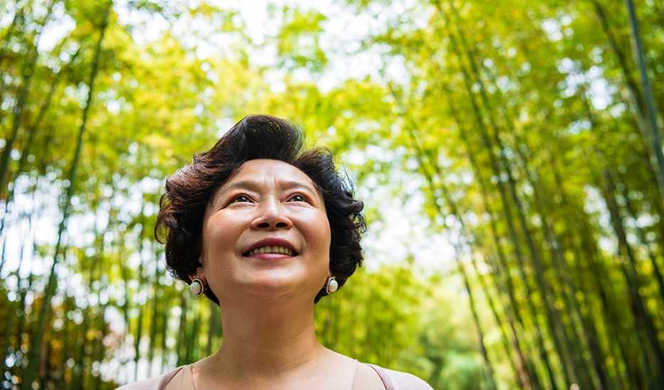 A woman looking up to take in the scenery in a forest